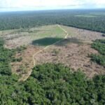 AGU cobra R$ 292 milhões de infrator ambiental por emissões de gases do efeito estufa